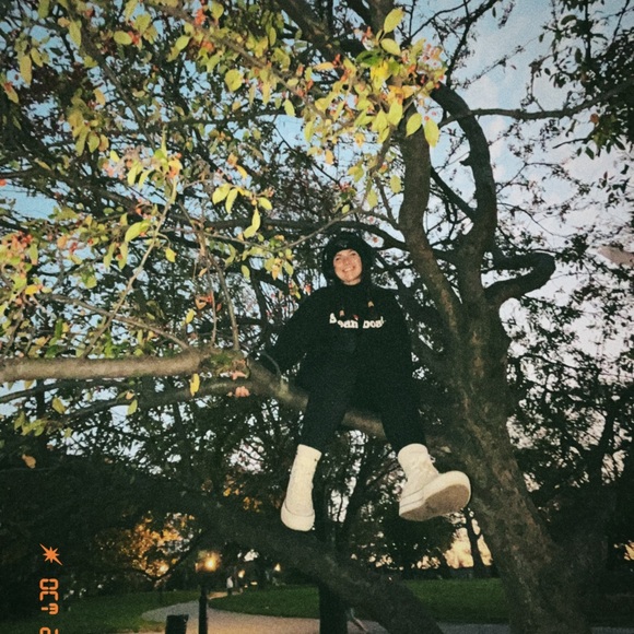 Meet your Posher, Riley - Picture 2 of 3